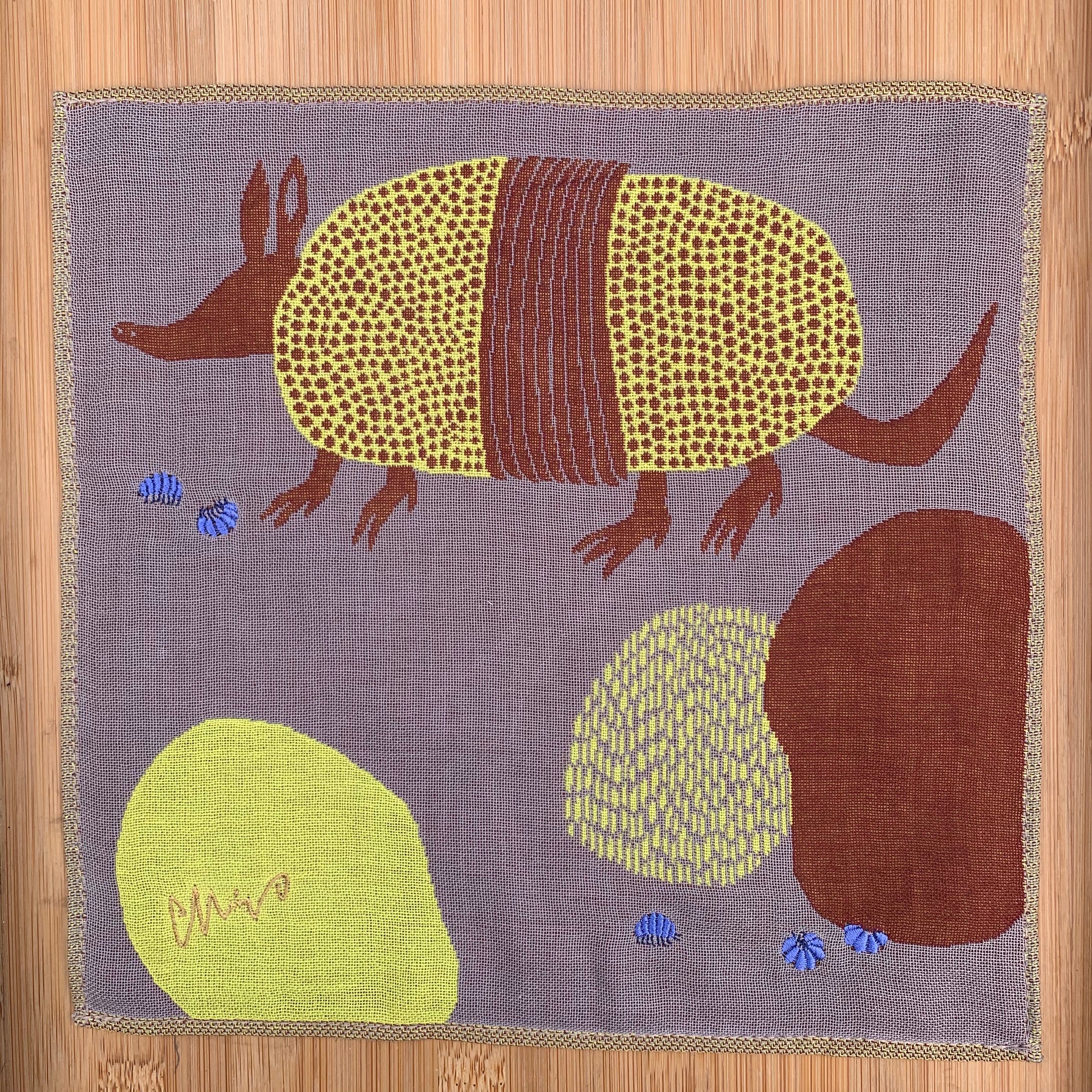 An Armadillo and Roly Polies